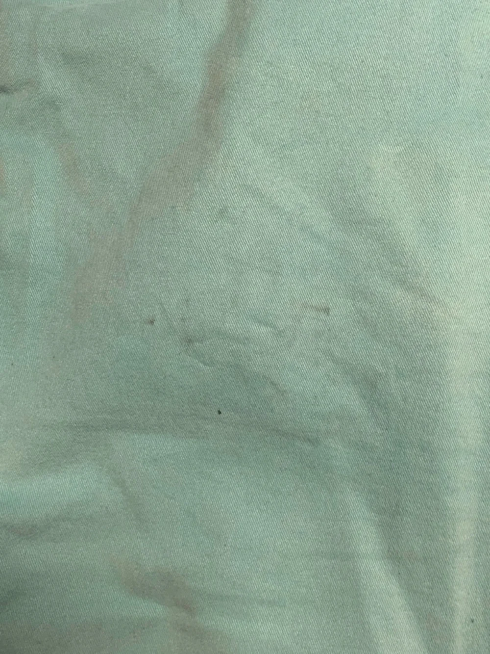 Denim & Flower Teal Shorts with Floral Lining - Picture 5 of 6